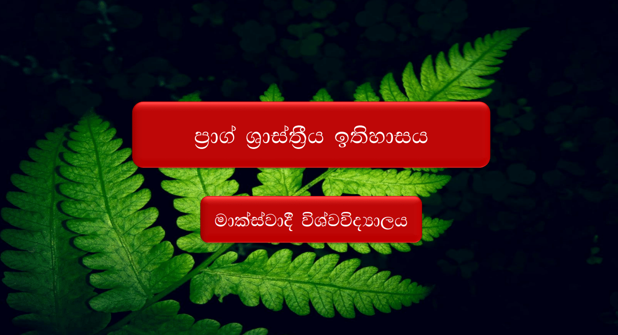 ප්‍රාග් ශ්‍රාස්ත්‍රීය ඉතිහාසය – චමිල් ජයනෙත්ති