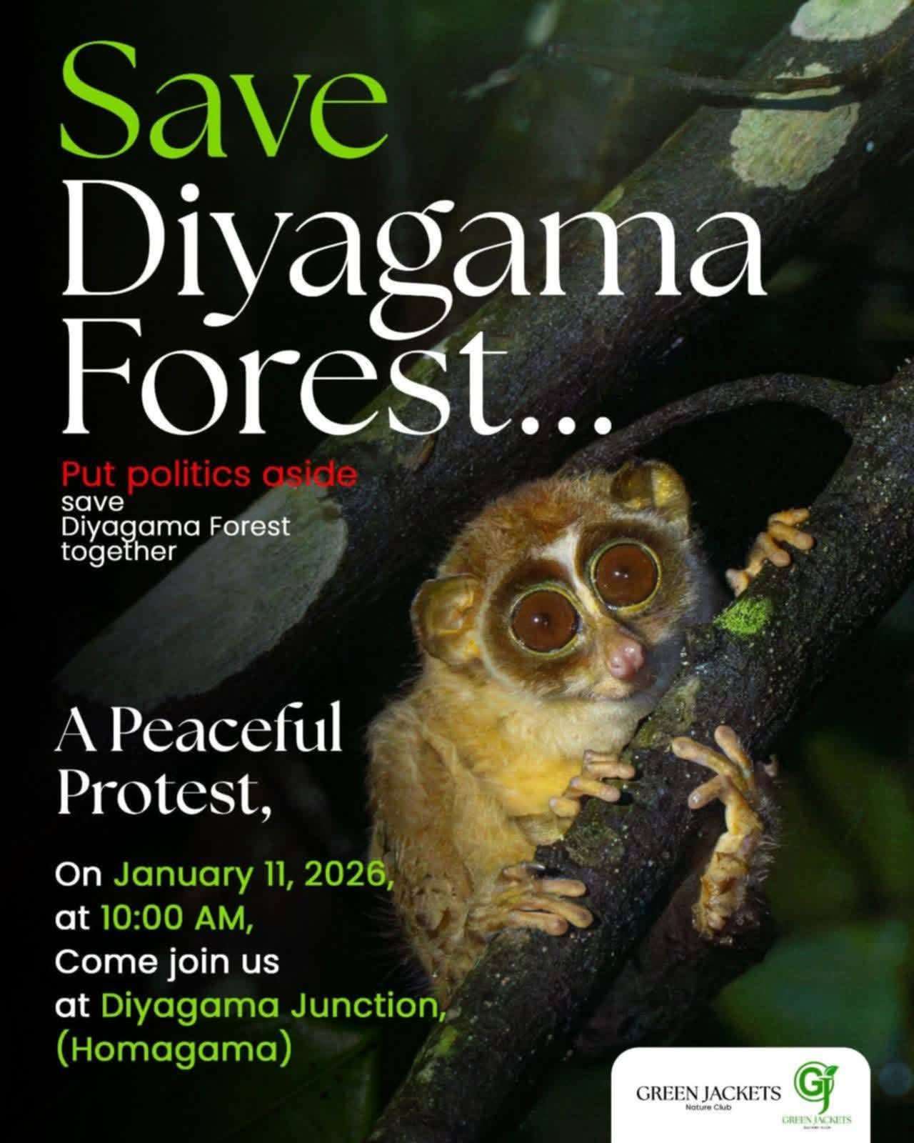 SAVE DIYAGAMA FOREST….