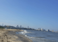 ක්ෂුද්‍ර ප්ලාස්ටික් සාගර පරිසර පද්ධති සහ ආහාර දාමයට තර්ජනයක් වන ආකාරය