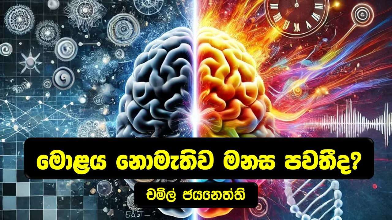 මනස පිළිබඳ සංකල්පය……….
