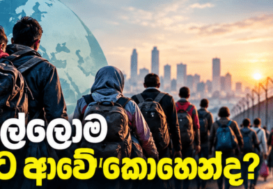 අපි හැමෝම කොහේ හෝ තැනකින් මෙහි පැමිණියෙමු!